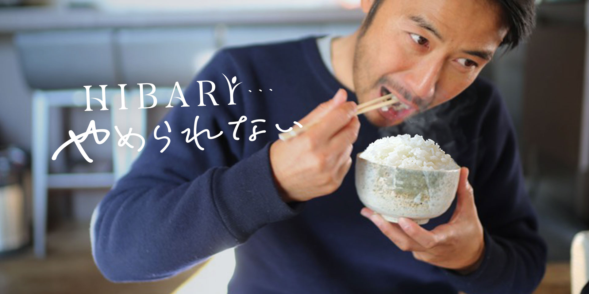 HIBARIをやめられない