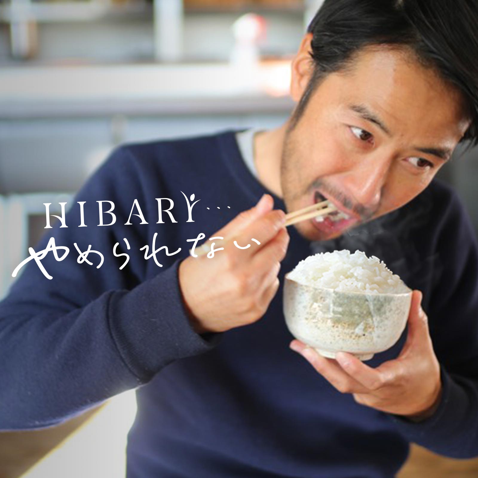 HIBARIをやめられない