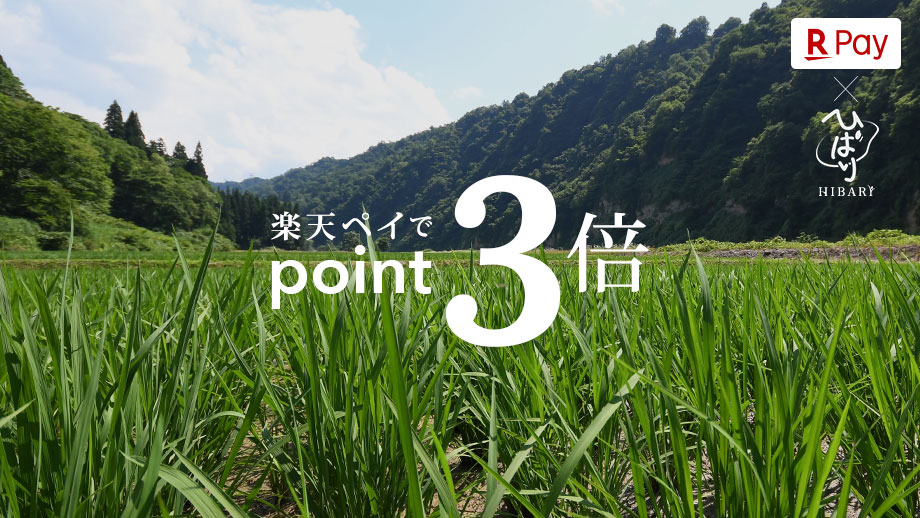楽天ペイでポイント3倍