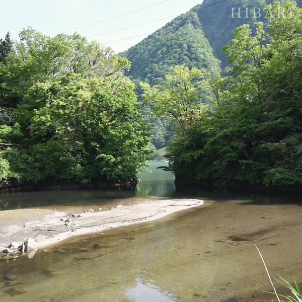 豊かな山の源流