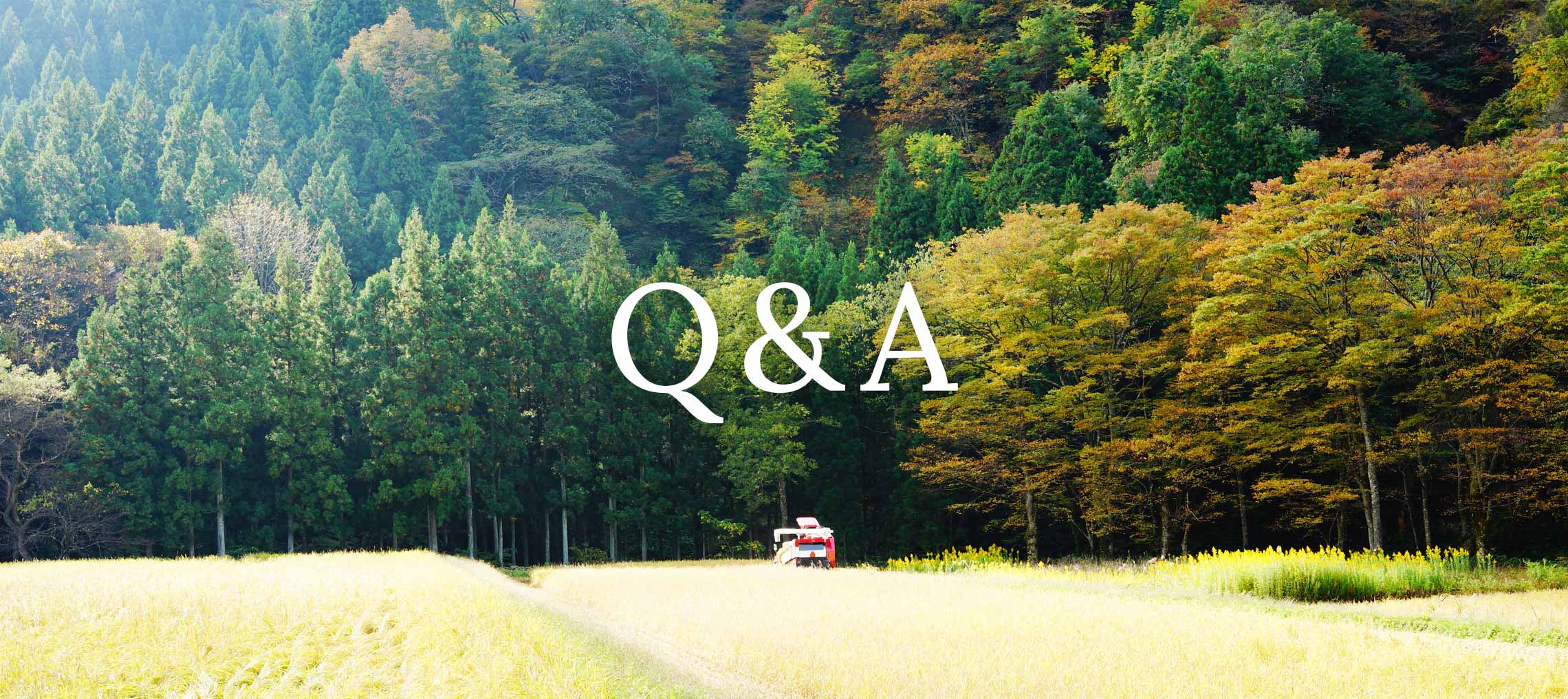 Q&A